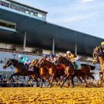 ABR Sunday Selections: Full-Card Picks for Dec. 14 at Aqueduct